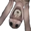 PANICORE SPEEDRUNS