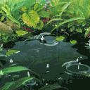 :🍃༺✮The frog pond✮༻🍃: Discord Server