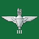 3 PARA, D Coy, Patrols Platoon