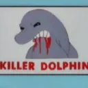Night of the Dolphin Private Mini Collab
