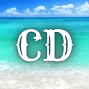 Canva Designer