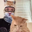 kitty club