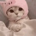 𝓹𝓮𝓷𝔀𝓲𝓽𝓪’𝓼 𝓼𝓮𝓻𝓿𝓮𝓻 ⋆𐙚₊˚⊹♡