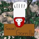 Social Gorilla