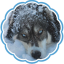 🐾 · Moonlit Dwelling