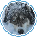  · Moonlit Dwelling Discord Server Icon