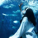 : 𓏲🐋 ๋࣭ OCEANOSASIS ࿐࿔ 🌊
