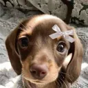 BLEH!