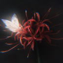 Whispers of the Spider Lily 彼岸花语 Discord server icon