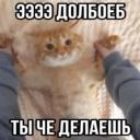 Ждите
