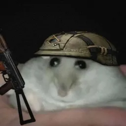 Mikebros100 — мониторинг Discord сервера, статистика и рейтинг