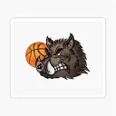 BallHog