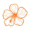 Tropical Airlines
