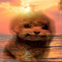 palcord Discord server icon