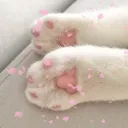 /cotton  ꒰ᐢ. .ᐢ꒱₊˚⊹