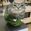 Watermelon  Server