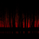 𝓑𝓵𝓸𝓸𝓭𝓒𝓵𝓪𝓷/𝓓𝓪𝓻𝓴 𝓕𝓸𝓻𝓮𝓼𝓽 Discord server icon