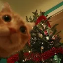 🎄𝙱𝚕𝚞𝚎𝚜 𝚌𝚑𝚛𝚒𝚜𝚝𝚖𝚊𝚜 𝚆𝚘𝚗𝚍𝚎𝚛𝚕𝚊𝚗𝚍🎄's icon