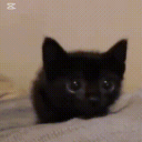 ᯓ★. ݁₊ ⊹FRIΞNDZ ݁˖ . ݁ᯓ★ [revamped] Discord server icon