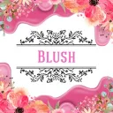 ‧ ʚɞ   ℬ𝓁𝓊𝓈𝒽 ₊ ⊹  ꪆ🌸𝒽