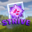 StrivePractice
