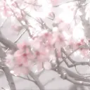 *＊✿❀ 𝓢𝓪𝓴𝓾𝓻𝓪'𝓼 ❀✿＊*