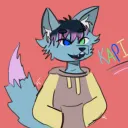 Kapi's Floofy Hideout