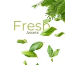 Assetify Hub