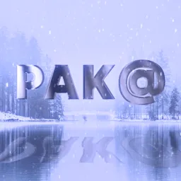 Pak@ — мониторинг Discord сервера, статистика и рейтинг