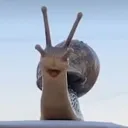 THE FunMuffin discord
