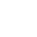 secretfriend.ai