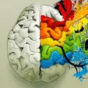 Synesthesia United