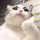 𝙑𝘼𝙇𝙊 𝙣𝙖𝙧𝙖𝙠