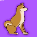 💜 Szczeniaczki