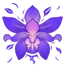 Project Iris