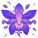 Project Iris