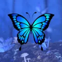 𝑴𝒐𝒓𝒑𝒉𝒐'𝒔 𝑩𝒖𝒕𝒕𝒆𝒓𝒇𝒍𝒚 𝑮𝒂𝒓𝒅𝒆𝒏