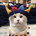 Sillier Cat Council :P