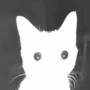 Ottersystems Corner <3 Discord server icon