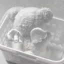 🦢   .  𝓵𝓲𝓽𝓽𝓵𝓮 𝓼𝓱𝓫𝓻𝔂    .  !  (Sfw!!)