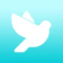 Bird Studio