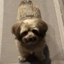 𝗕𝗼𝗯𝗮 𝗕𝗮𝗯𝘆'𝘀