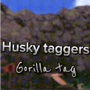Husky taggers