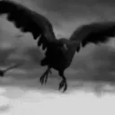 Shadow Ravens Discord Server Icon