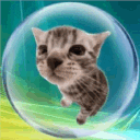 web dreamland! avatar