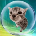 web dreamland!'s icon