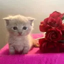 новый дизайн сервер