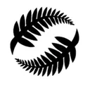 NZ Football