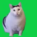 Pet Simulator BON 鯖