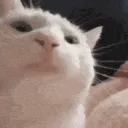 Ikona serwera 🗿 Sigmy Wynszera 🗿